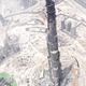 Illustration for article titled Tallest Skyscraper in the World Almost Completed, Defies Belief